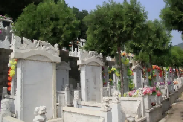 陵园环境
